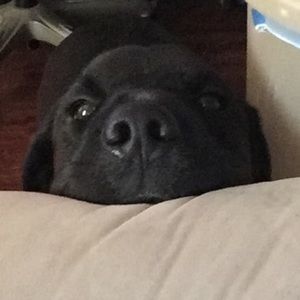 Meet your Posher, Vicki